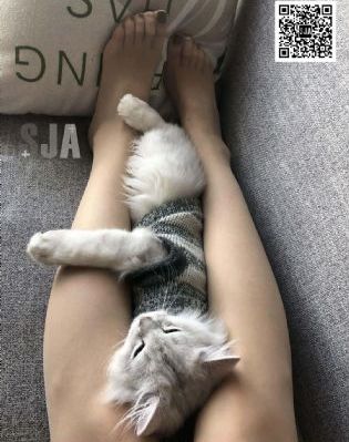 禁忌关系_BD国语HD高清在线观看